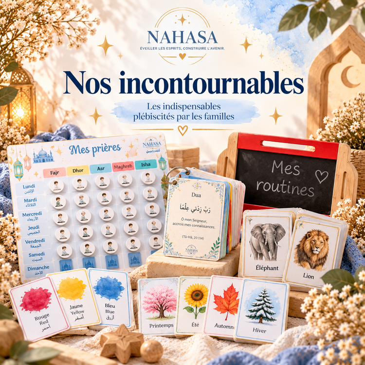 ⭐ Incontournables