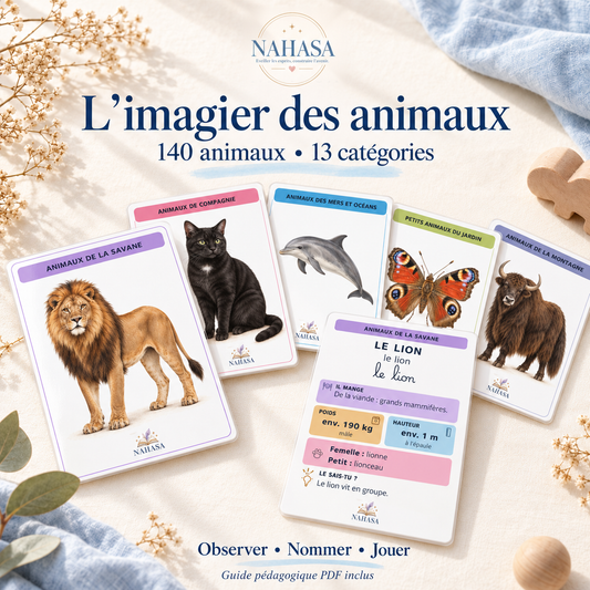 Imagier des animaux — 140 animaux et 13 catégories
