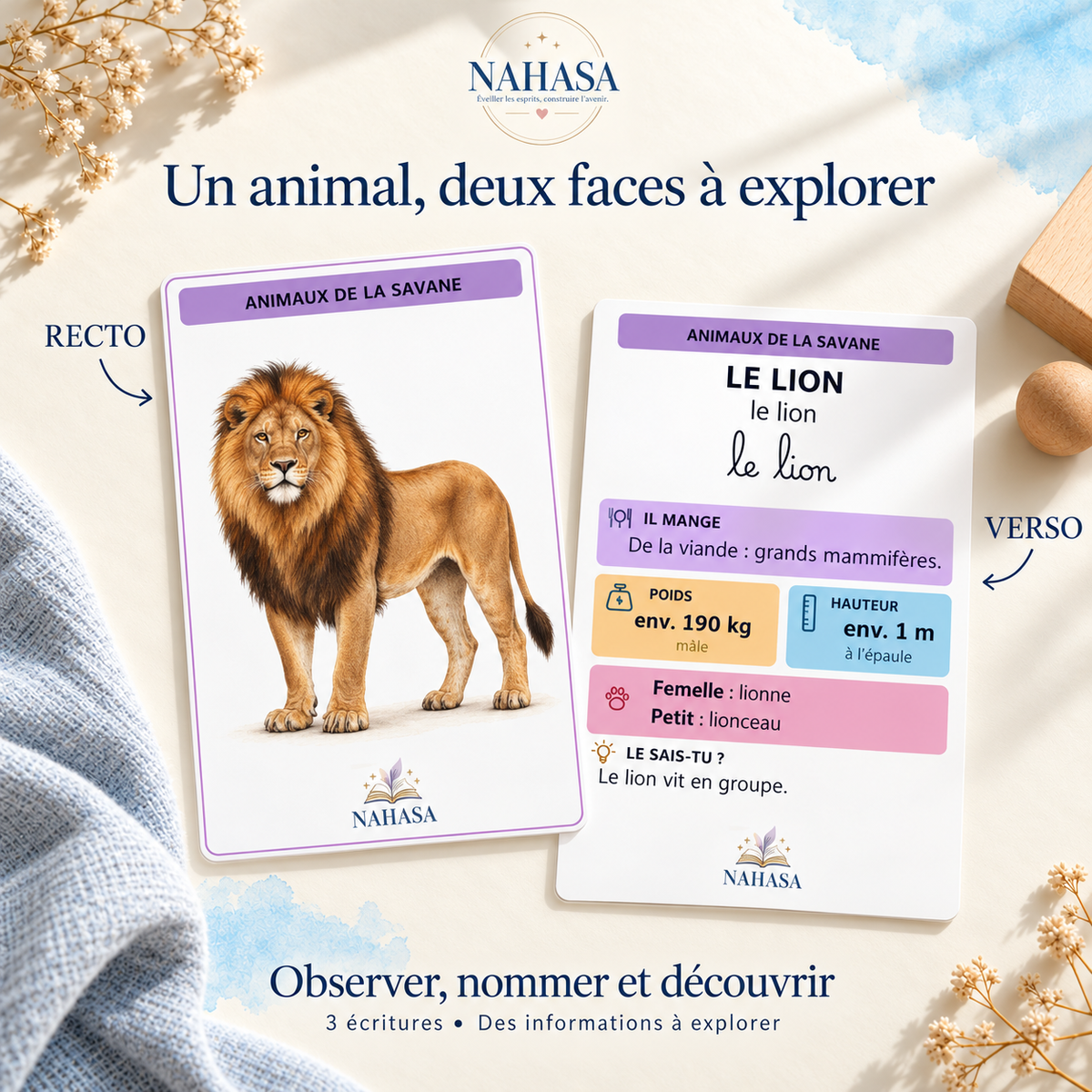 Imagier des animaux — 140 animaux et 13 catégories