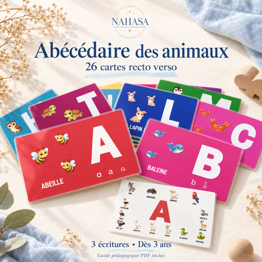 Abécédaire des animaux NAHASA, 26 cartes recto verso illustrées